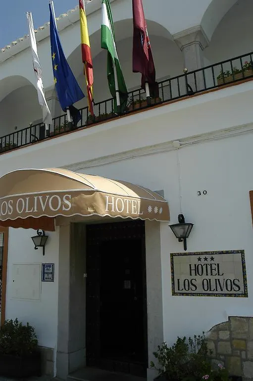 Hotel Los Olivos Arcos de la Frontera 3*,