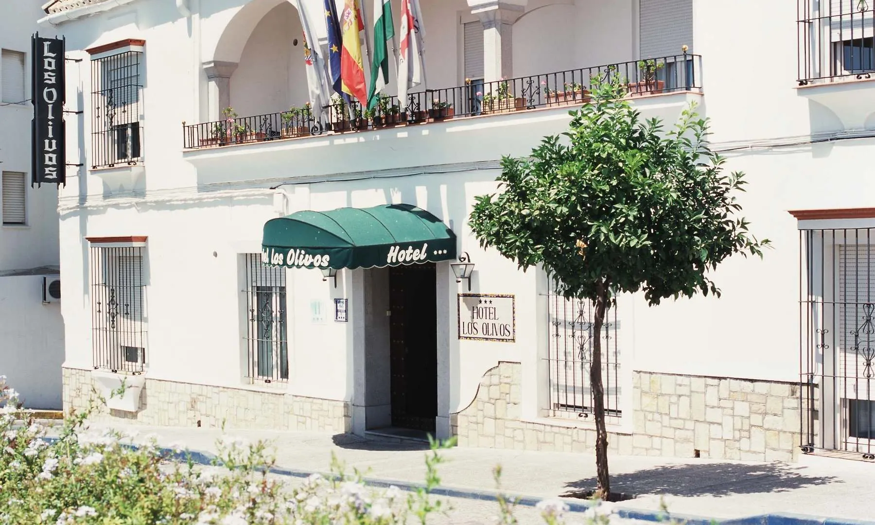 Hotel Los Olivos Arcos de la Frontera 3*,  Spain