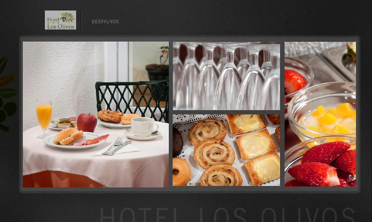 Hotel Los Olivos Arcos de la Frontera